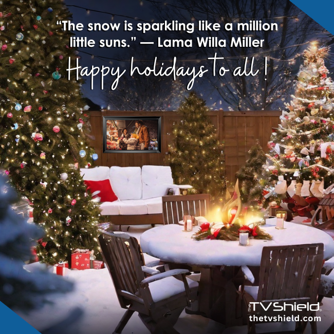 Watch Christmas Movies Outside The TV Shield Outdoor TV Enclosure Protects from Snow